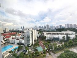 Rafflesia Condominium (D20), Condominium #632089221